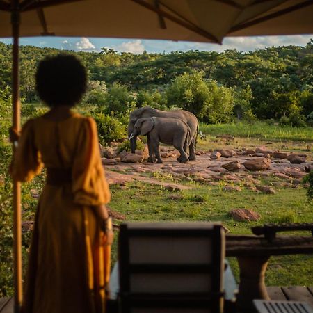Makweti Safari Lodge Welgevonden Game Reserve Zewnętrze zdjęcie