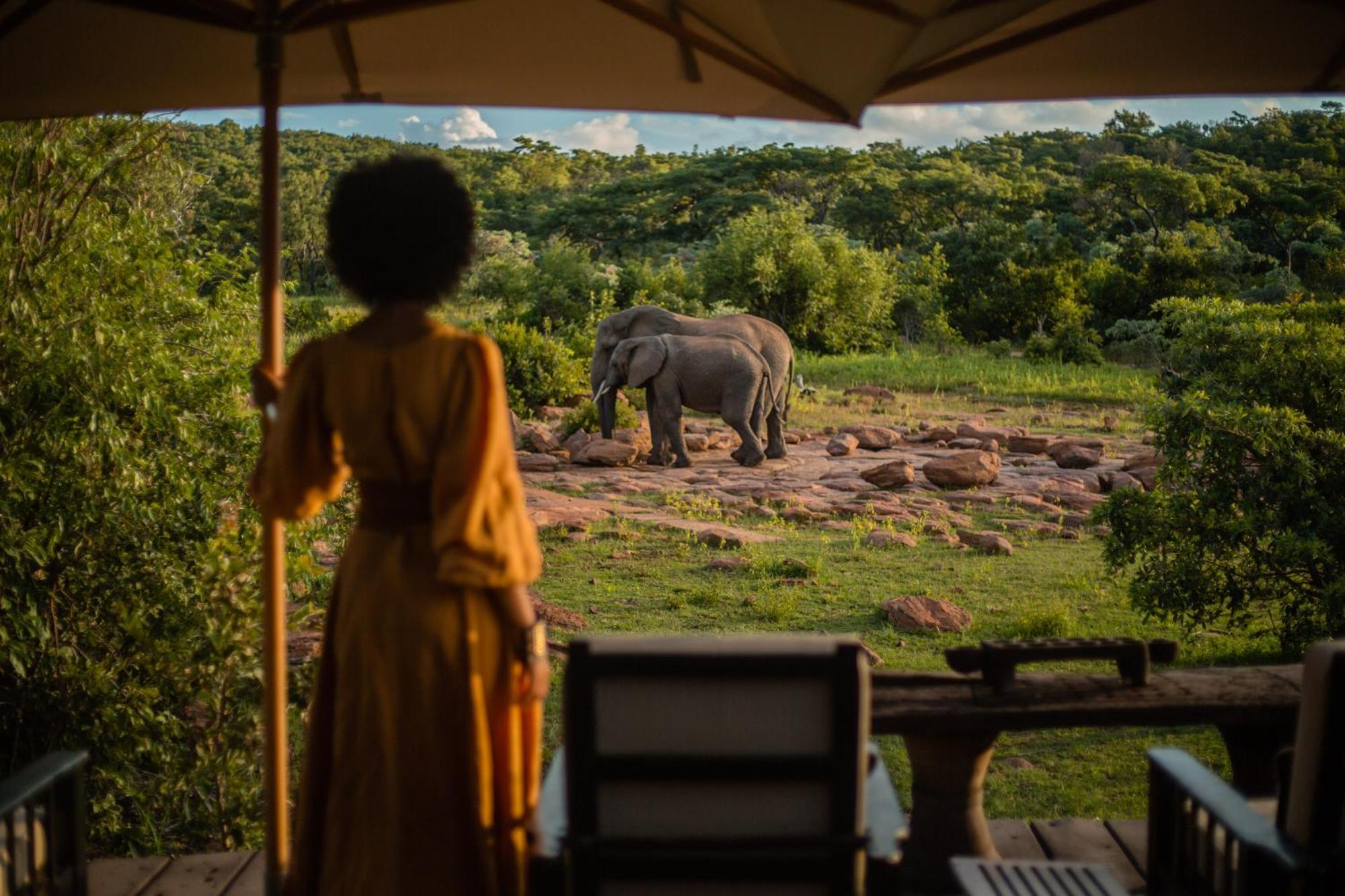 Makweti Safari Lodge Welgevonden Game Reserve Zewnętrze zdjęcie