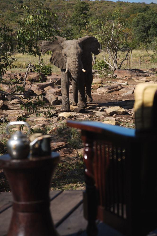 Makweti Safari Lodge Welgevonden Game Reserve Zewnętrze zdjęcie