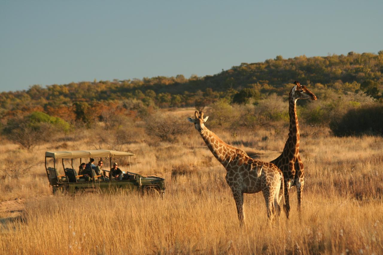 Makweti Safari Lodge Welgevonden Game Reserve Zewnętrze zdjęcie