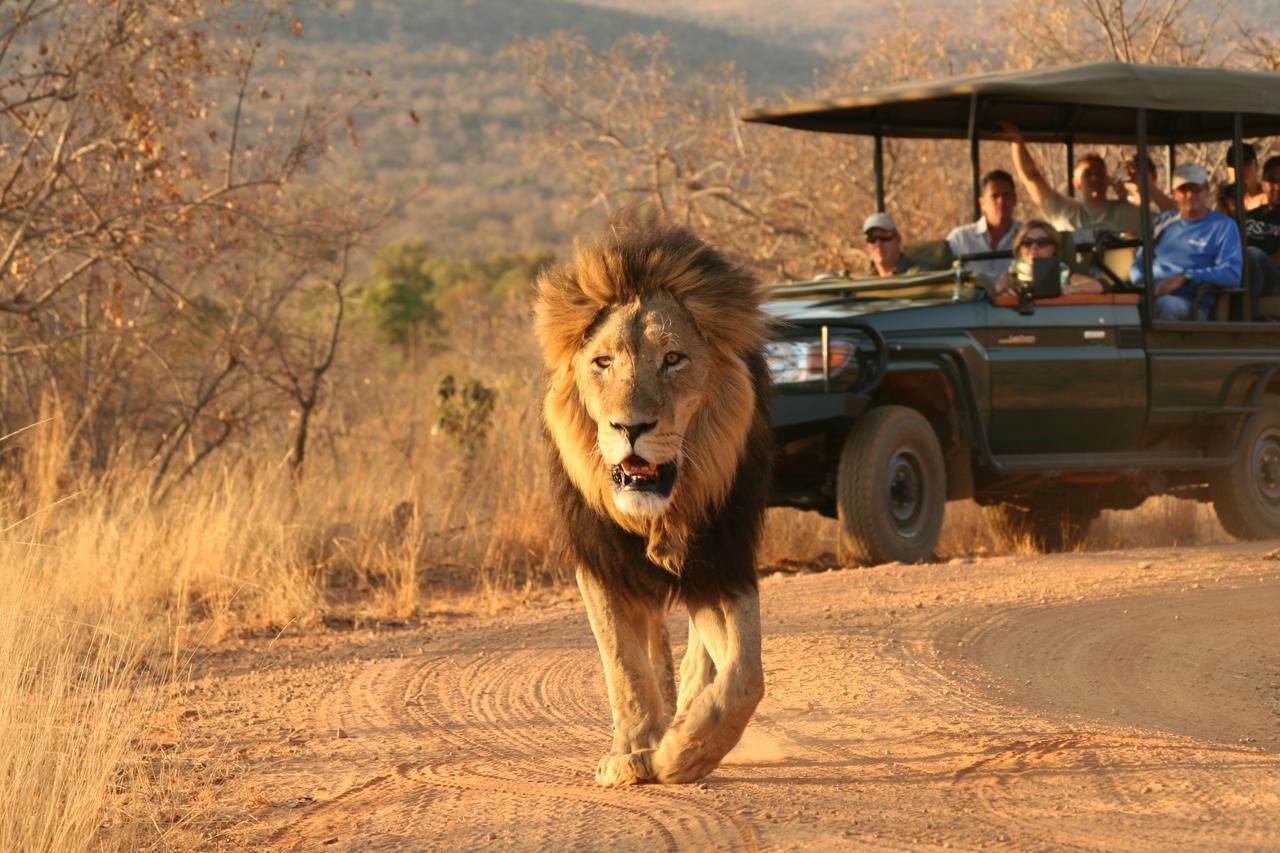 Makweti Safari Lodge Welgevonden Game Reserve Zewnętrze zdjęcie
