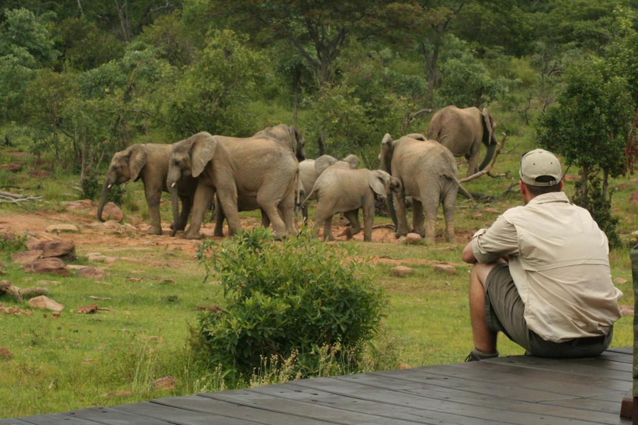 Makweti Safari Lodge Welgevonden Game Reserve Zewnętrze zdjęcie
