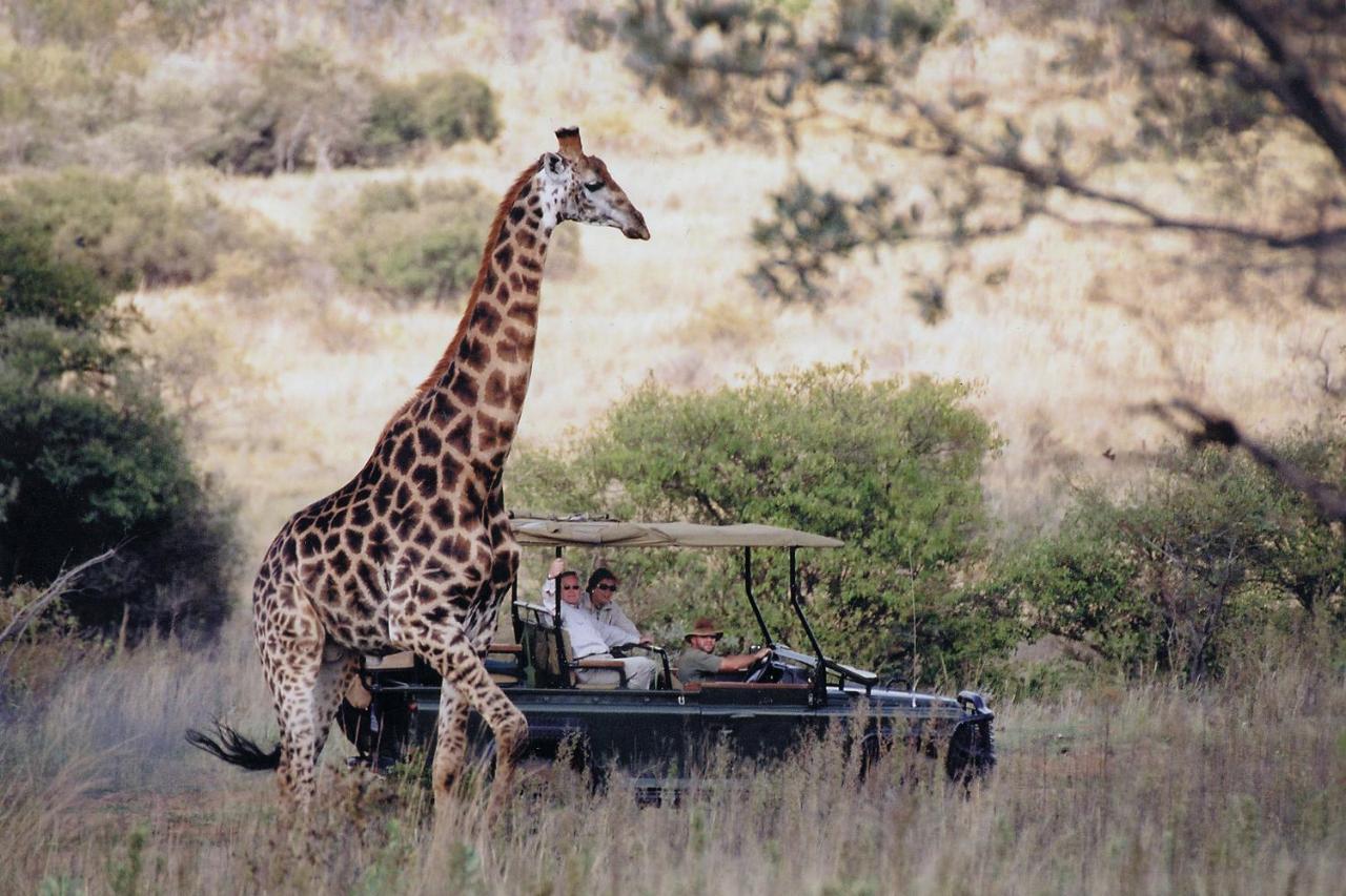 Makweti Safari Lodge Welgevonden Game Reserve Zewnętrze zdjęcie